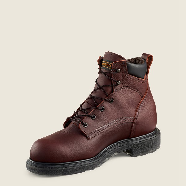 Botas hotsell vino hombre